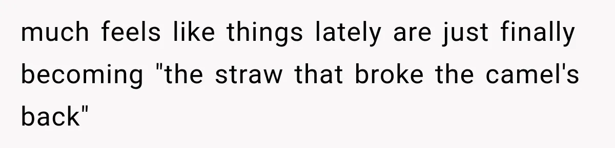 much feels like things lately are just finally becoming "the straw that broke the camel's back"