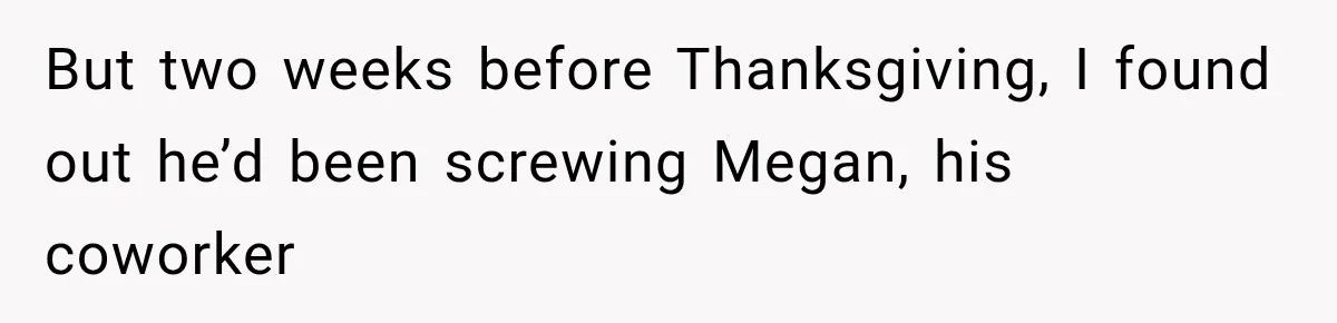 But two weeks before Thanksgiving, I found out he’d been screwing Megan, his coworker