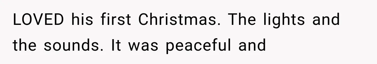 LOVED his first Christmas. The lights and the sounds. It was peaceful and