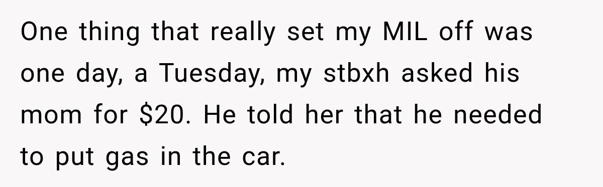 Woman’s Husband Cheats, Then His Own Mom Starts Cooking Every Meal He Hates One thing that really set my MIL off was one day, a Tuesday, my stbxh asked his mom for $20. He told her that he needed to put gas in...