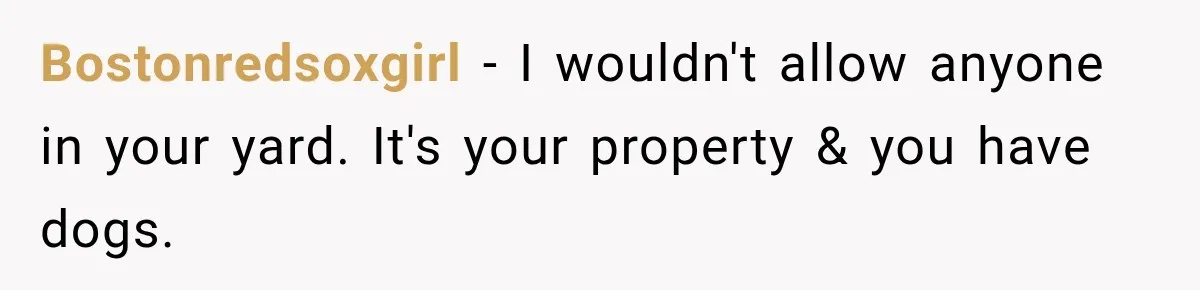 Bostonredsoxgirl − I wouldn't allow anyone in your yard. It's your property & you have dogs.