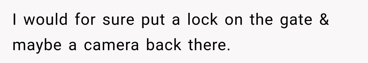 I would for sure put a lock on the gate & maybe a camera back there.