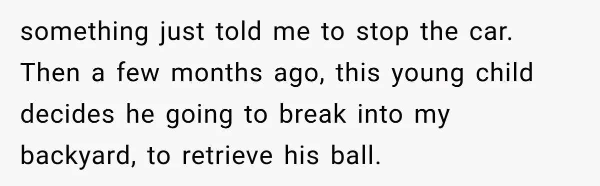 something just told me to stop the car. Then a few months ago, this young child decides he going to break into my backyard, to retrieve his ball.