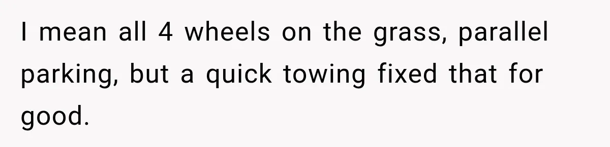 I mean all 4 wheels on the grass, parallel parking, but a quick towing fixed that for good.