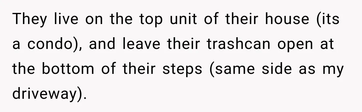 They live on the top unit of their house (its a condo), and leave their trashcan open at the bottom of their steps (same side as my driveway).