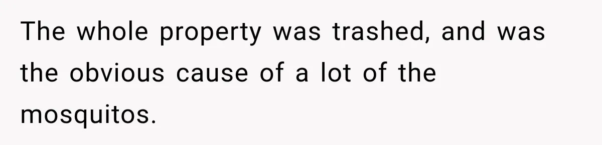 The whole property was trashed, and was the obvious cause of a lot of the mosquitos.