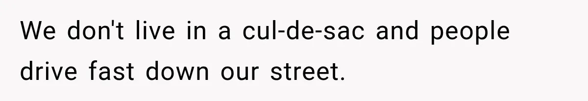 We don't live in a cul-de-sac and people drive fast down our street.