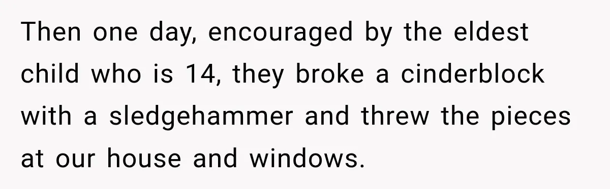 Then one day, encouraged by the eldest child who is 14, they broke a cinderblock with a sledgehammer and threw the pieces at our house and windows.