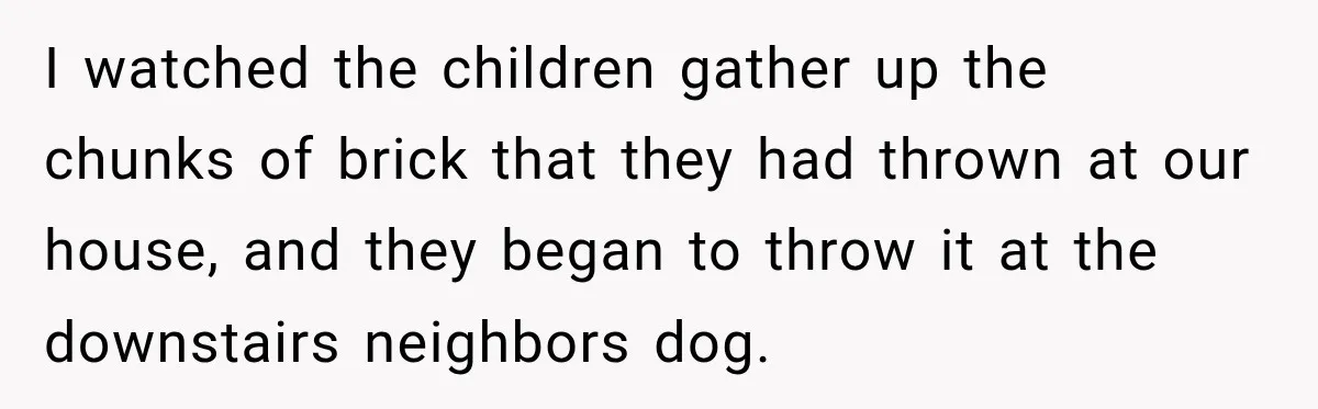 I watched the children gather up the chunks of brick that they had thrown at our house, and they began to throw it at the downstairs neighbors dog.