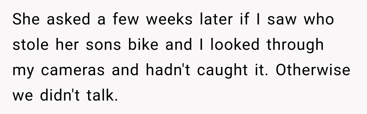 She asked a few weeks later if I saw who stole her sons bike and I looked through my cameras and hadn't caught it. Otherwise we didn't talk.