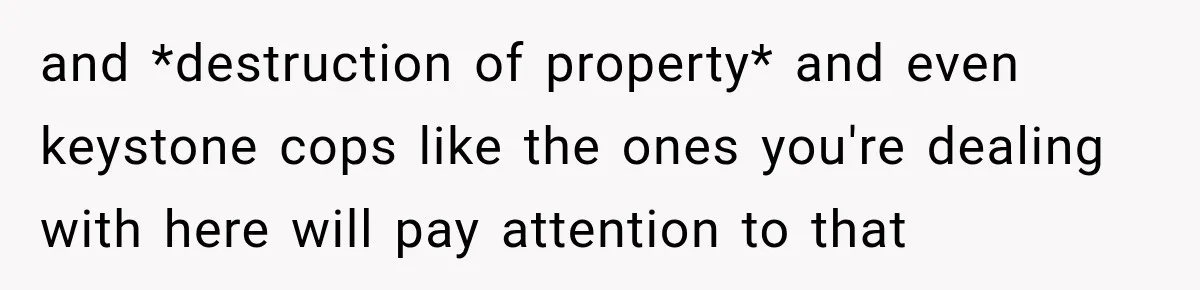 and *destruction of property* and even keystone cops like the ones you're dealing with here will pay attention to that