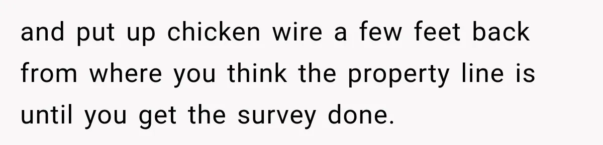 and put up chicken wire a few feet back from where you think the property line is until you get the survey done.