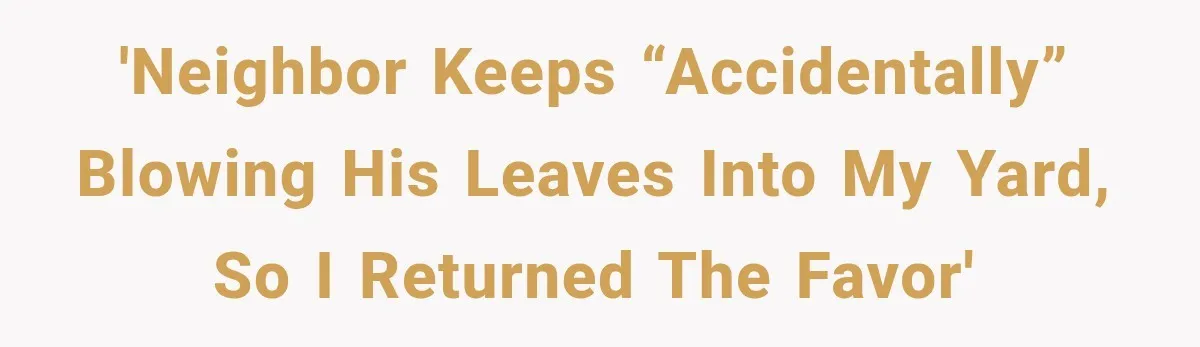 Neighbor Keeps Blowing Leaves Into His Yard, So Homeowner Delivers Them Right Back 'Neighbor keeps “accidentally” blowing his leaves into my yard, so I returned the favor'
