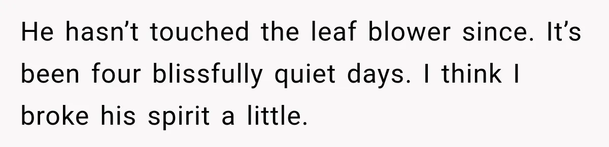 Neighbor Keeps Blowing Leaves Into His Yard, So Homeowner Delivers Them Right Back He hasn’t touched the leaf blower since. It’s been four blissfully quiet days. I think I broke his spirit a little.