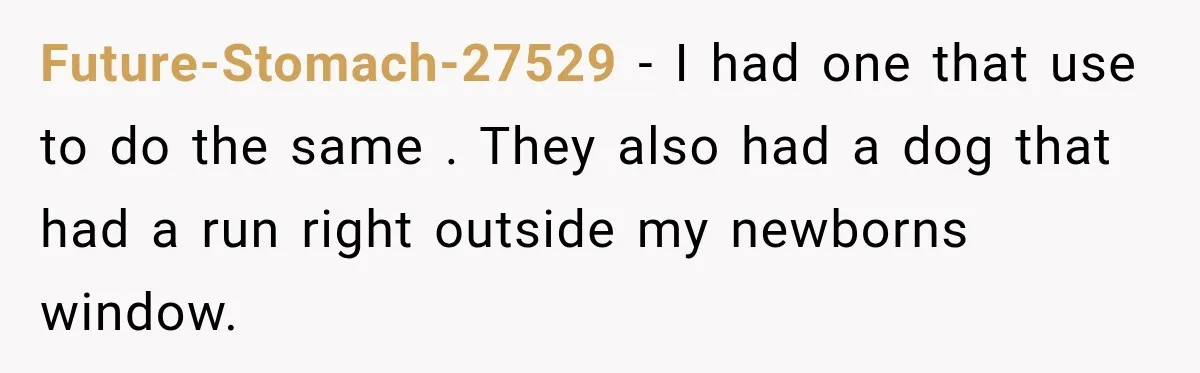 Neighbor Keeps Blowing Leaves Into His Yard, So Homeowner Delivers Them Right Back Future-Stomach-27529 − I had one that use to do the same . They also had a dog that had a run right outside my newborns window.