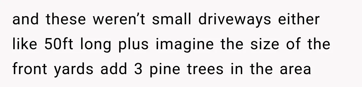 Neighbor Keeps Blowing Leaves Into His Yard, So Homeowner Delivers Them Right Back and these weren’t small driveways either like 50ft long plus imagine the size of the front yards add 3 pine trees in the area