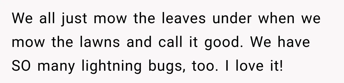 Neighbor Keeps Blowing Leaves Into His Yard, So Homeowner Delivers Them Right Back We all just mow the leaves under when we mow the lawns and call it good. We have SO many lightning bugs, too. I love it!