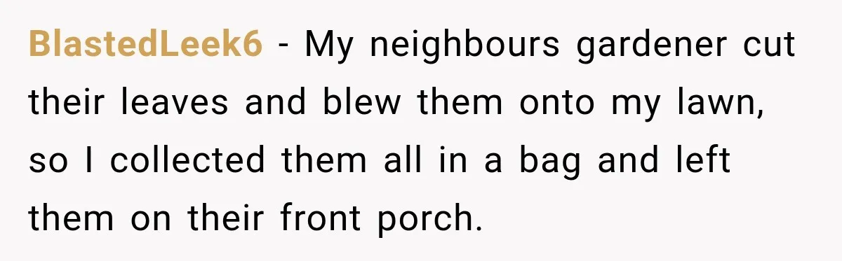 Neighbor Keeps Blowing Leaves Into His Yard, So Homeowner Delivers Them Right Back BlastedLeek6 − My neighbours gardener cut their leaves and blew them onto my lawn, so I collected them all in a bag and left them on their front porch.
