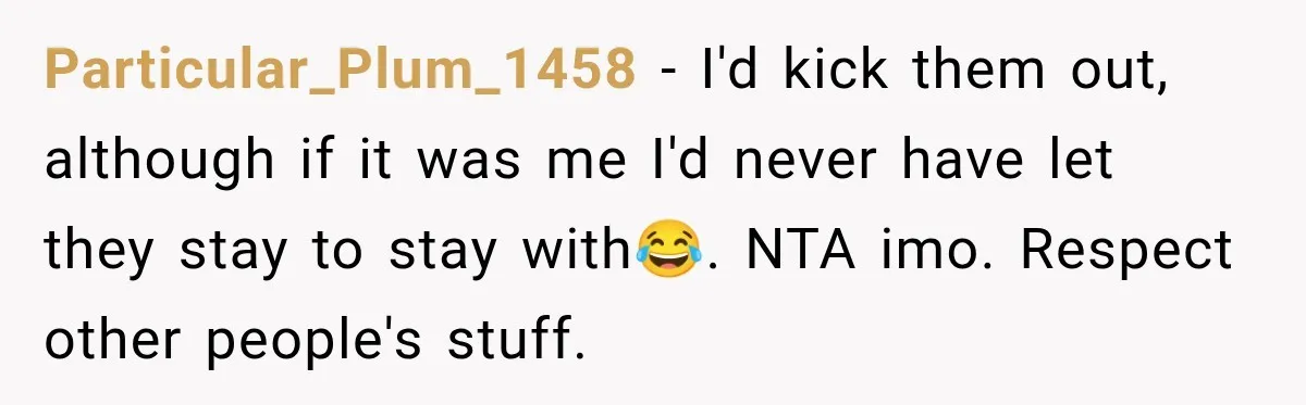 Particular_Plum_1458 − I'd kick them out, although if it was me I'd never have let they stay to stay with😂. NTA imo. Respect other people's stuff.
