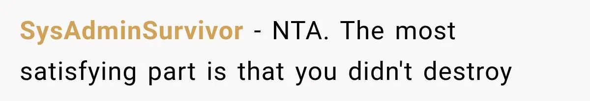 SysAdminSurvivor − NTA. The most satisfying part is that you didn't destroy