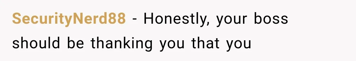 SecurityNerd88 − Honestly, your boss should be thanking you that you