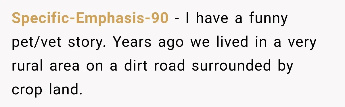 Specific-Emphasis-90 − I have a funny pet/vet story. Years ago we lived in a very rural area on a dirt road surrounded by crop land.