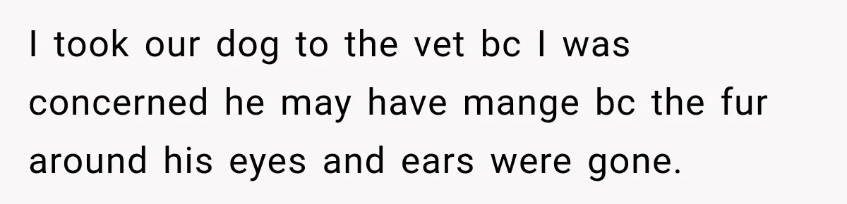 I took our dog to the vet bc I was concerned he may have mange bc the fur around his eyes and ears were gone.