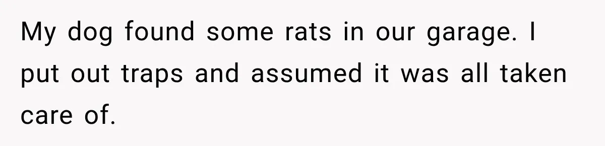 My dog found some rats in our garage. I put out traps and assumed it was all taken care of.