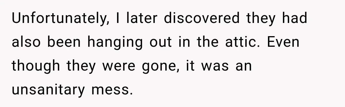Unfortunately, I later discovered they had also been hanging out in the attic. Even though they were gone, it was an unsanitary mess.