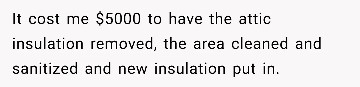 It cost me $5000 to have the attic insulation removed, the area cleaned and sanitized and new insulation put in.