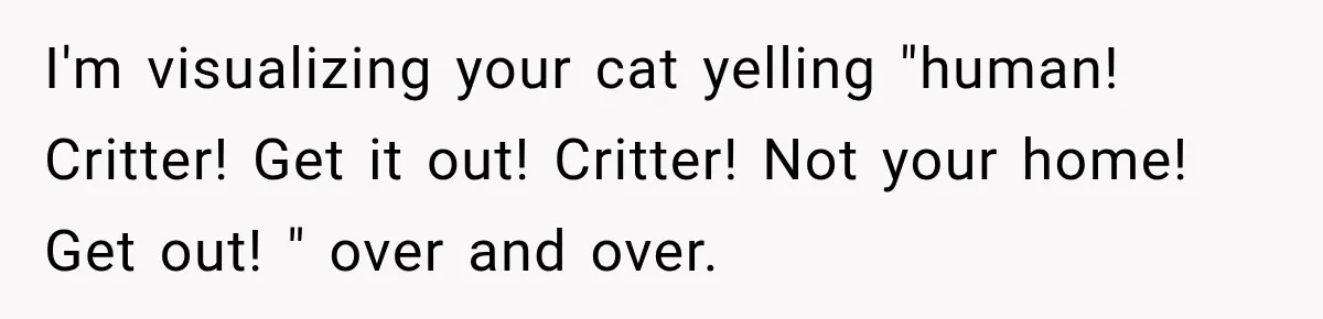 I'm visualizing your cat yelling "human! Critter! Get it out! Critter! Not your home! Get out! " over and over.