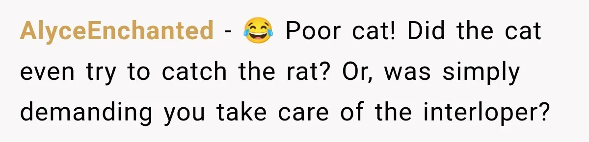 AlyceEnchanted − 😂 Poor cat! Did the cat even try to catch the rat? Or, was simply demanding you take care of the interloper?