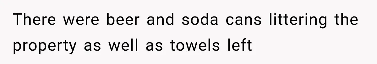 Brother Assumes He Can Use Sister’s Dream Cabin For His Wedding, But She Says No There were beer and soda cans littering the property as well as towels left