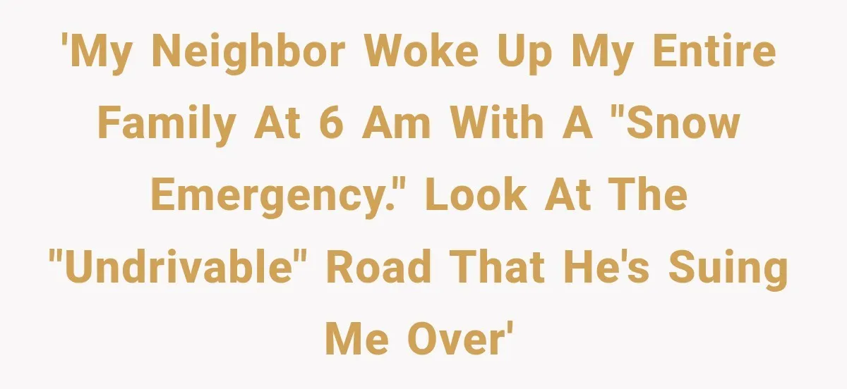 'My neighbor woke up my entire family at 6 AM with a "snow emergency." Look at the "undrivable" road that he's suing me over'