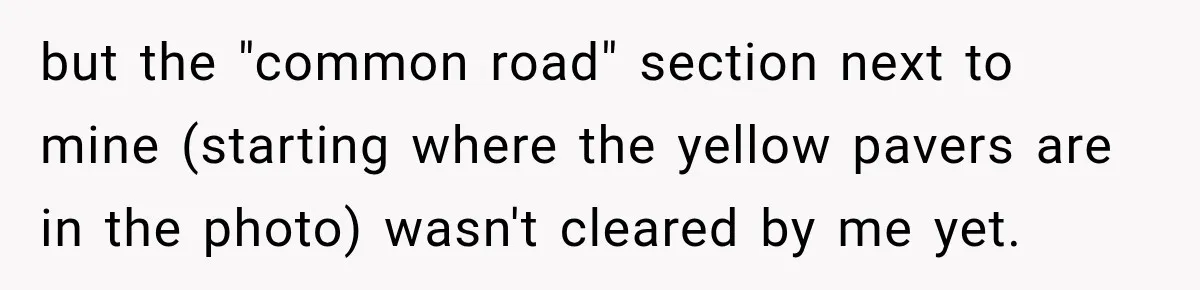 but the "common road" section next to mine (starting where the yellow pavers are in the photo) wasn't cleared by me yet.