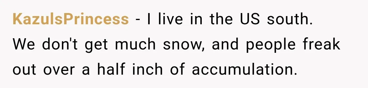 KazulsPrincess − I live in the US south.   We don't get much snow, and people freak out over a half inch of accumulation.