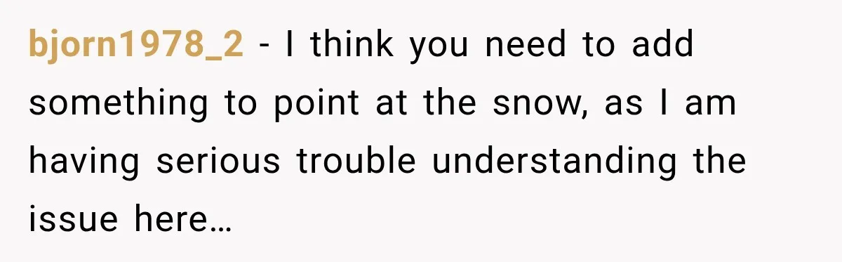 bjorn1978_2 − I think you need to add something to point at the snow, as I am having serious trouble understanding the issue here…