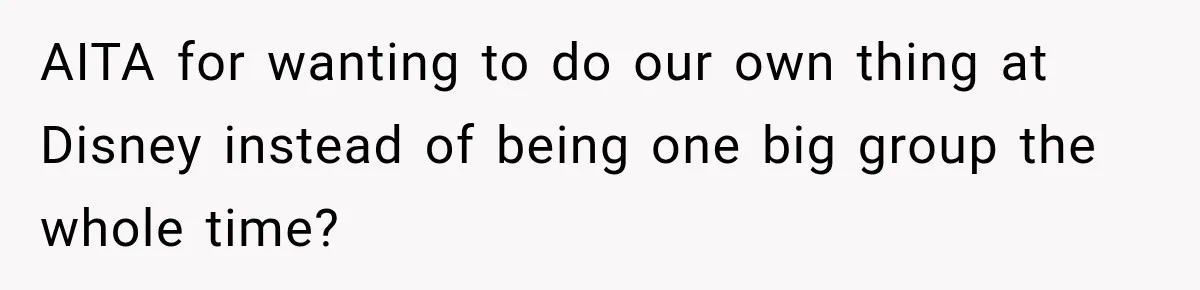 AITA for wanting to do our own thing at Disney instead of being one big group the whole time?