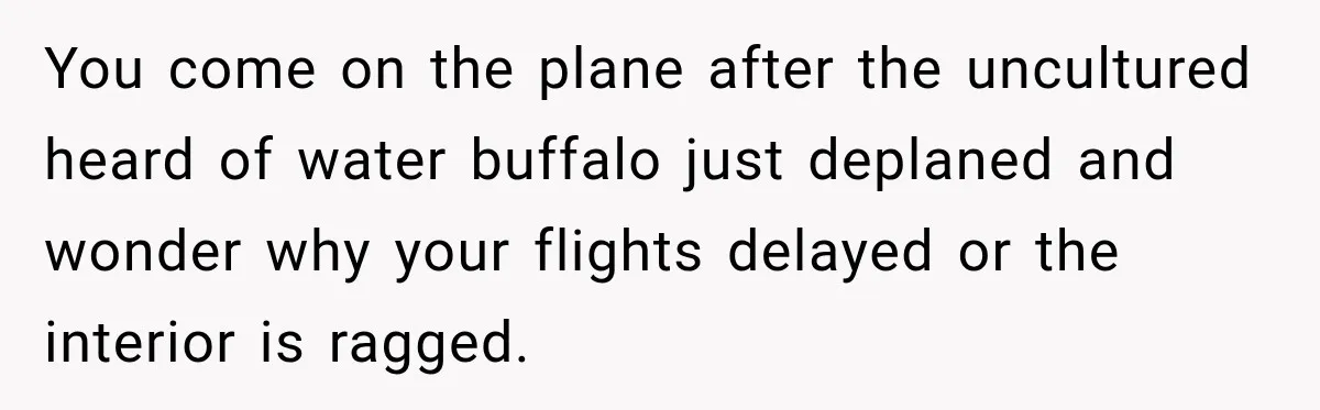 You come on the plane after the uncultured heard of water buffalo just deplaned and wonder why your flights delayed or the interior is ragged.