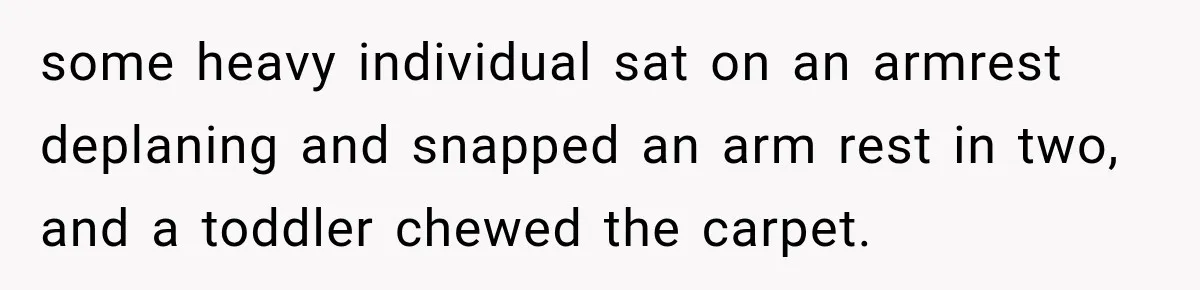 some heavy individual sat on an armrest deplaning and snapped an arm rest in two, and a toddler chewed the carpet.