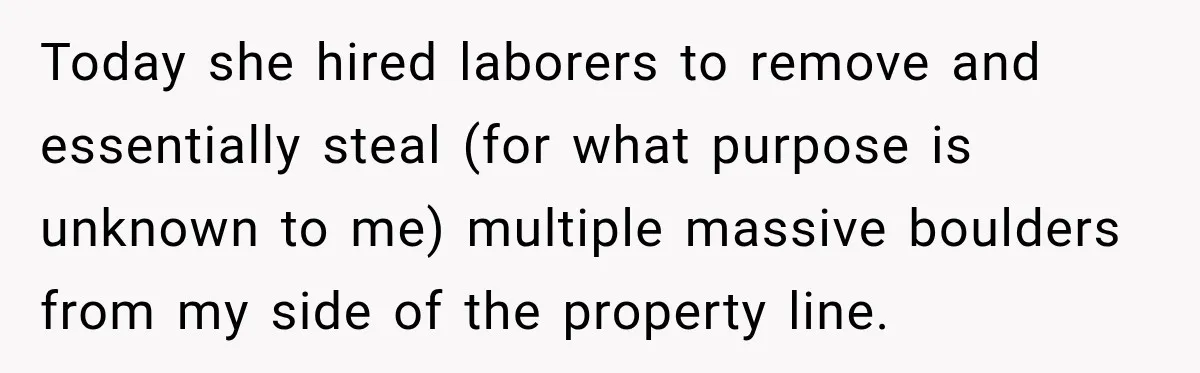 Today she hired laborers to remove and essentially steal (for what purpose is unknown to me) multiple massive boulders from my side of the property line.