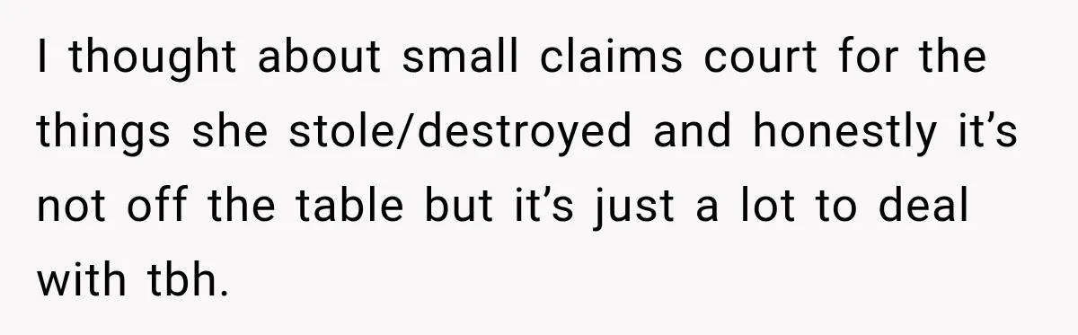 I thought about small claims court for the things she stole/destroyed and honestly it’s not off the table but it’s just a lot to deal with tbh.