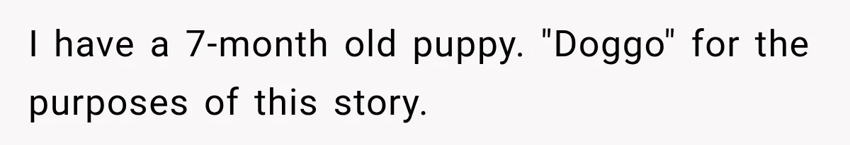 I have a 7-month old puppy. "Doggo" for the purposes of this story.