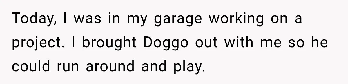 Today, I was in my garage working on a project. I brought Doggo out with me so he could run around and play.