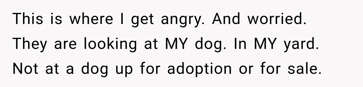 This is where I get angry. And worried. They are looking at MY dog. In MY yard. Not at a dog up for adoption or for sale.