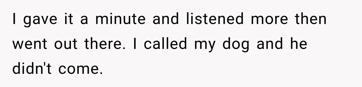 I gave it a minute and listened more then went out there. I called my dog and he didn't come.