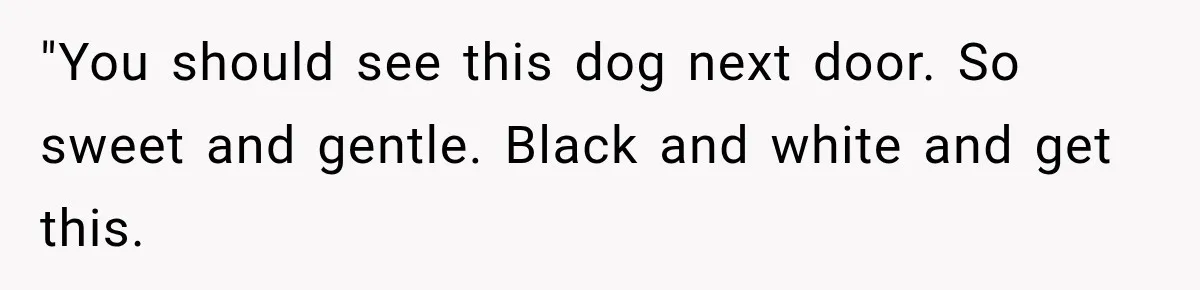 "You should see this dog next door. So sweet and gentle. Black and white and get this.