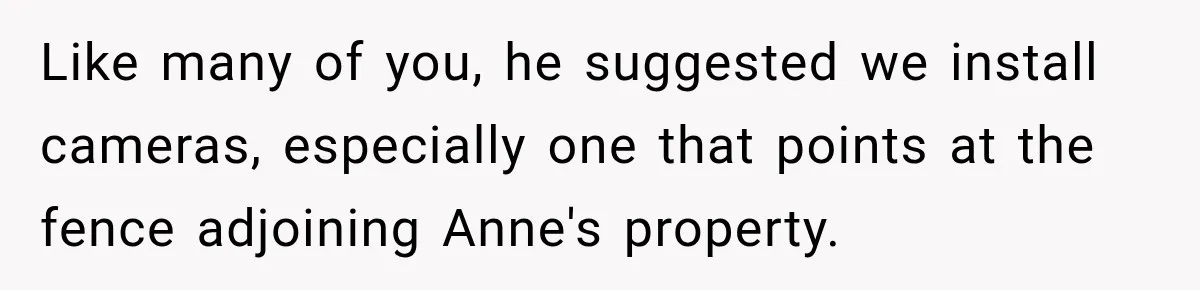 Like many of you, he suggested we install cameras, especially one that points at the fence adjoining Anne's property.