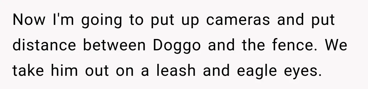 Now I'm going to put up cameras and put distance between Doggo and the fence. We take him out on a leash and eagle eyes.