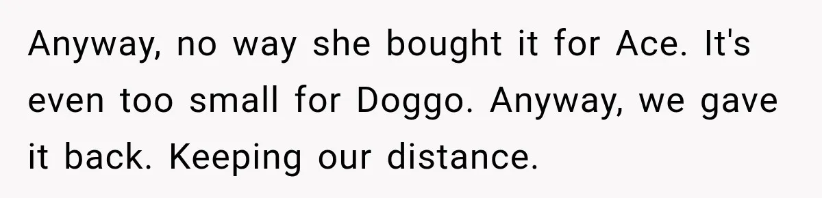 Anyway, no way she bought it for Ace. It's even too small for Doggo. Anyway, we gave it back. Keeping our distance.
